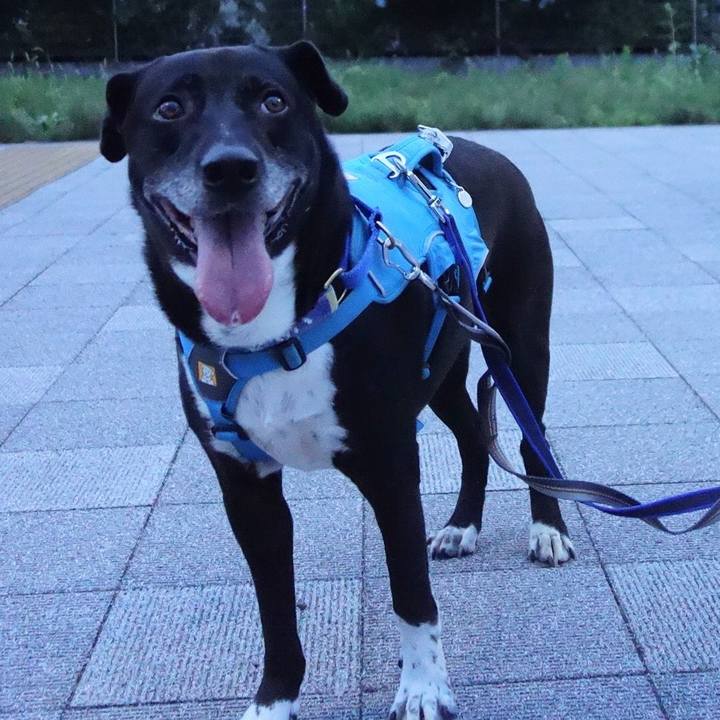 126f2390 0f5d 49bc a010 19ea3cb58441 1689246764191