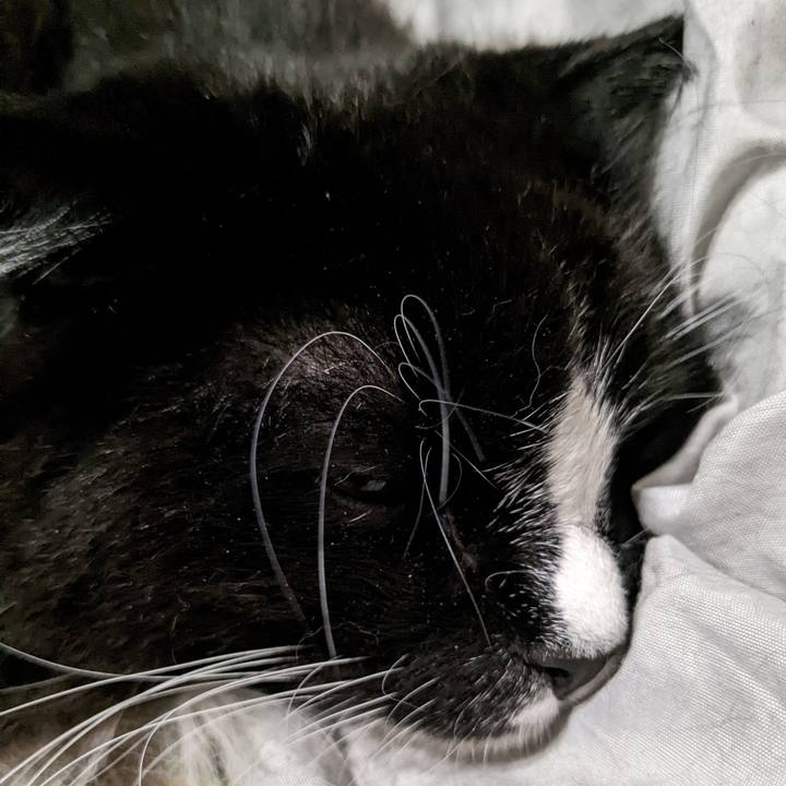 126f64c4 6913 418f 8eae db8c92a992a0 1667720120453