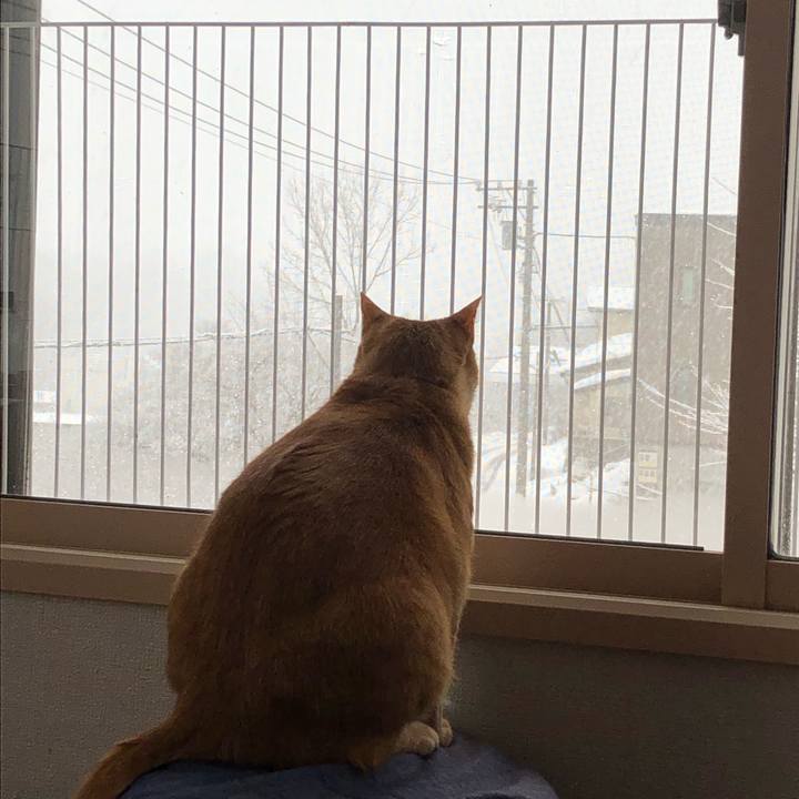 126f7d58 6c77 49fd b1cc b91a6cfa86d2 1637975550125