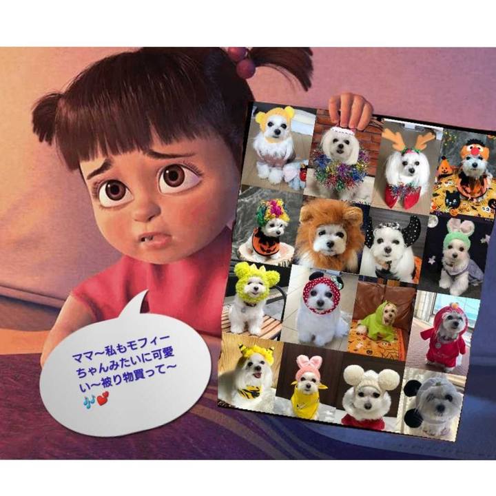 126f7daa e40a 4dfa 9b0a 5467e89b9978 1560006530641