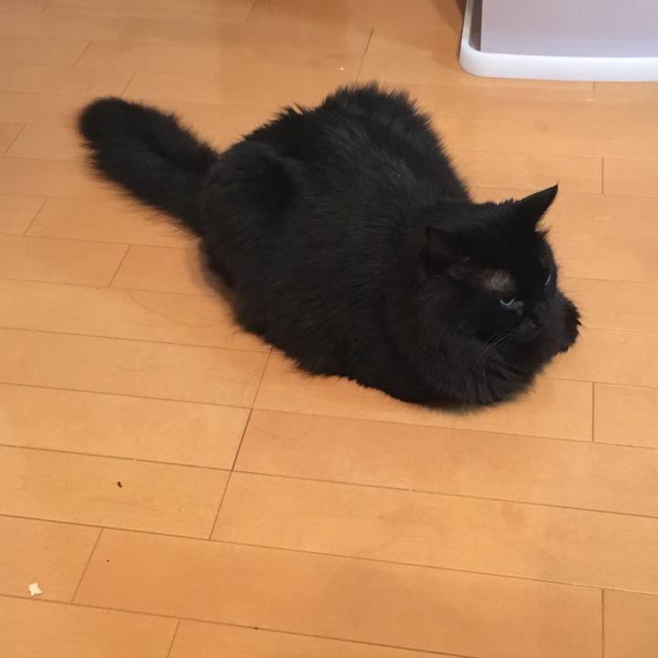 126fb104 fc1b 49c7 a009 6782a6cdc1a2 1561362603020