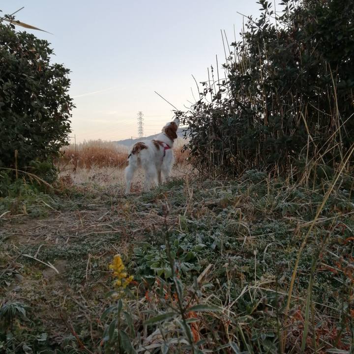 126fb923 f483 4a6b a826 49e32ce3699e 1576471639590