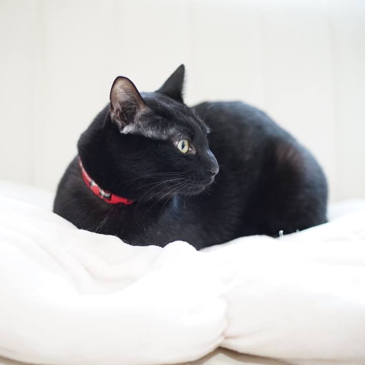 126fcc84 e738 461c 93b4 39a0a973023f 1519343238979