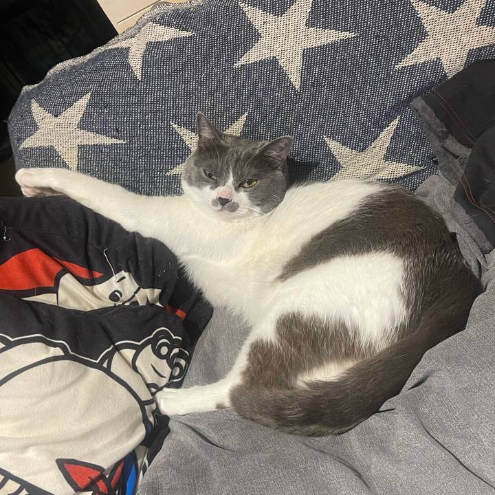 12700fa5 2900 4196 b777 064a140f6642 1650971547673