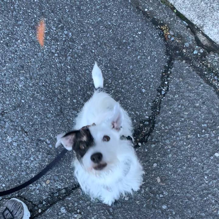 12700fa7 9332 4b20 8e21 0ec7c09f1e50 1697411490654