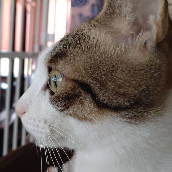 12703fda 47ed 408c 871b 8fa98ee26092 1682992183459