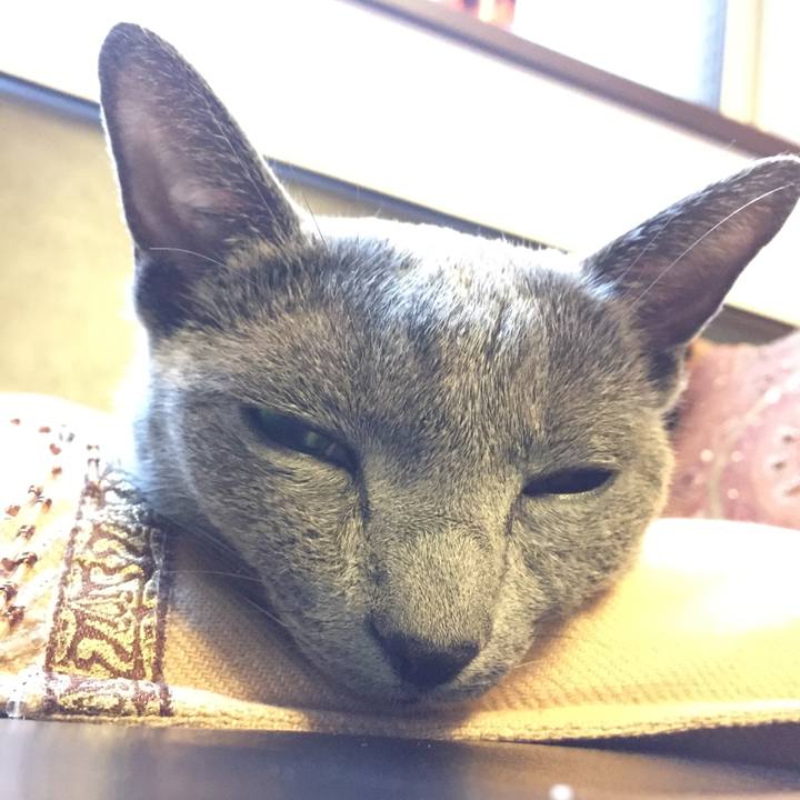 12705300 837d 4372 90ef 94b6e33bc8a0 1512351988627