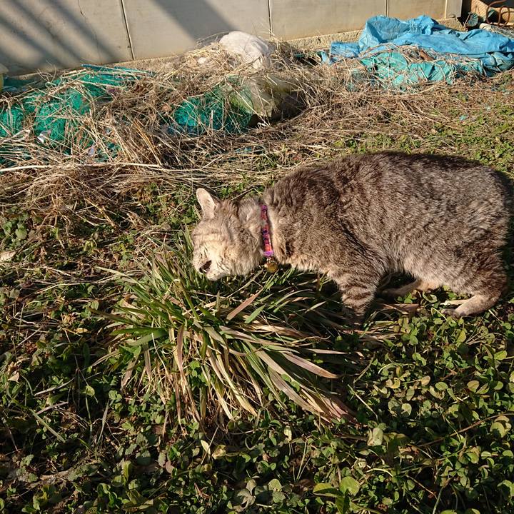 127063b7 ba16 47ac b356 cb6a69152731 1582960330816