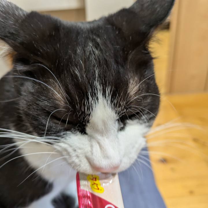 12707292 8c23 42c6 9f5d ff6b86ac27f7 1754180409246