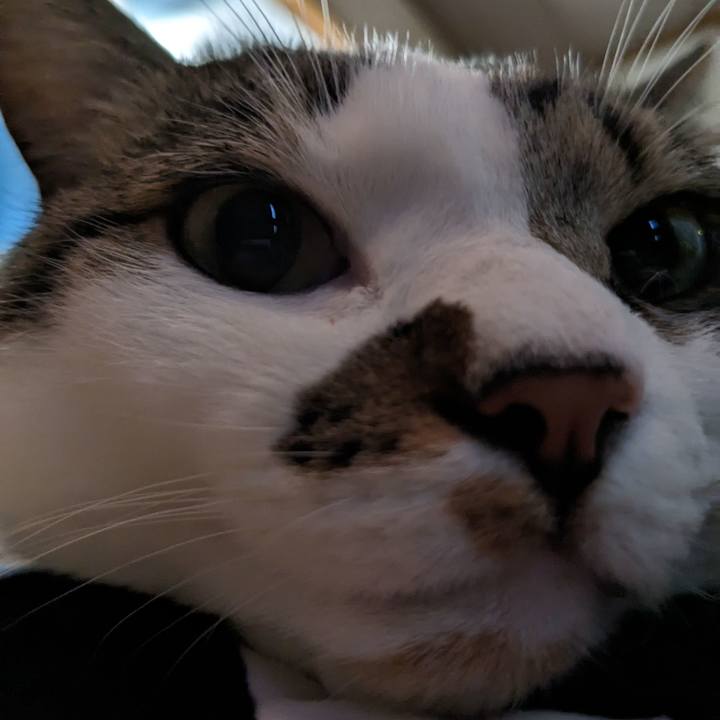 127089ab ca68 48e4 8147 d5ad8fa7ecea 1687657094927