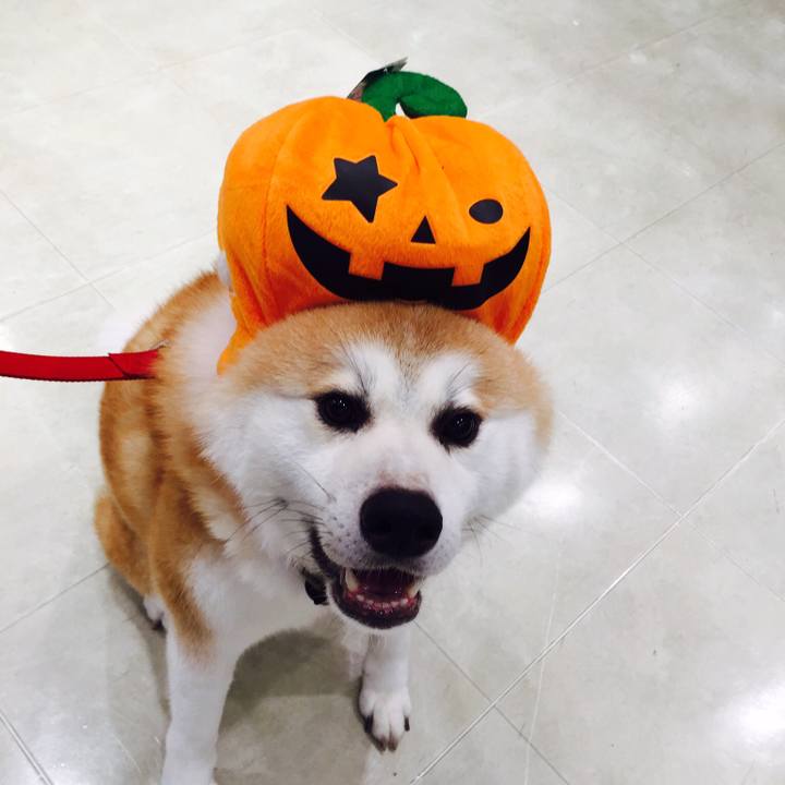 1270f5d3 440a 477c be24 1f7609ec53f6 1509447867041