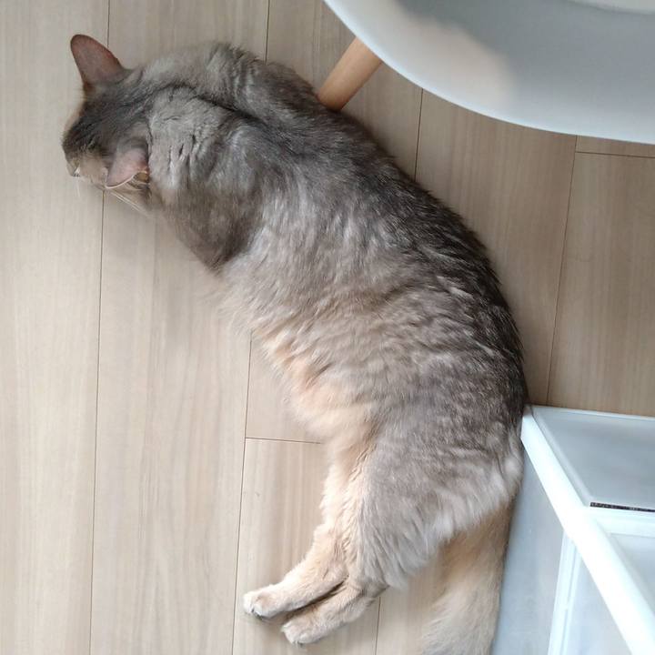 12712ff3 3674 4e7d 9968 9504e8ce4e27 1595828370473