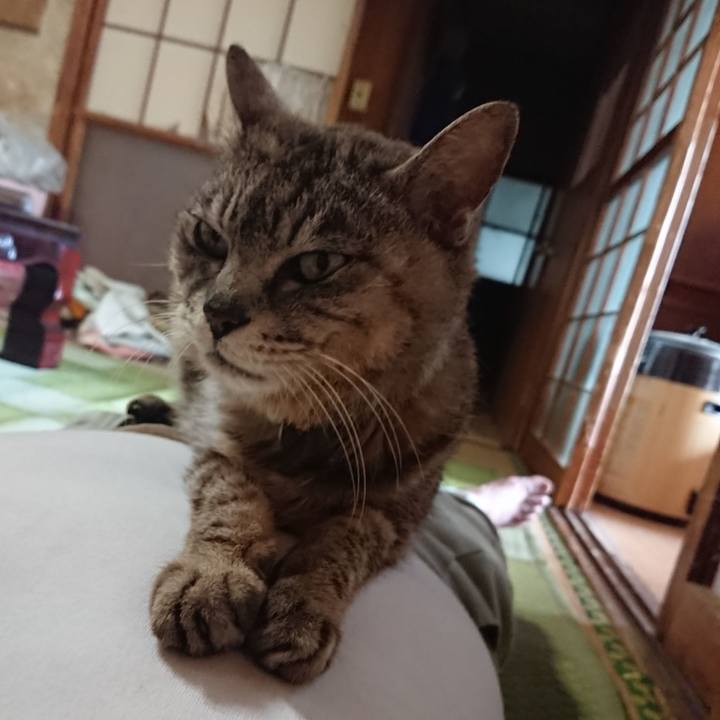 12713d97 3ff6 48fe a679 fbe3647cb0ee 1593244527729