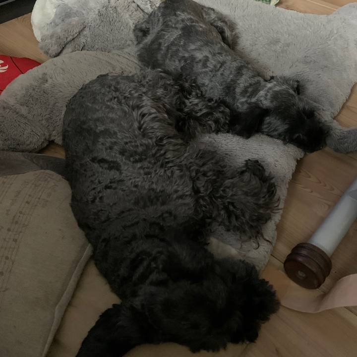 12714784 6986 46a6 a7ff 27e527afa171 1624751037047