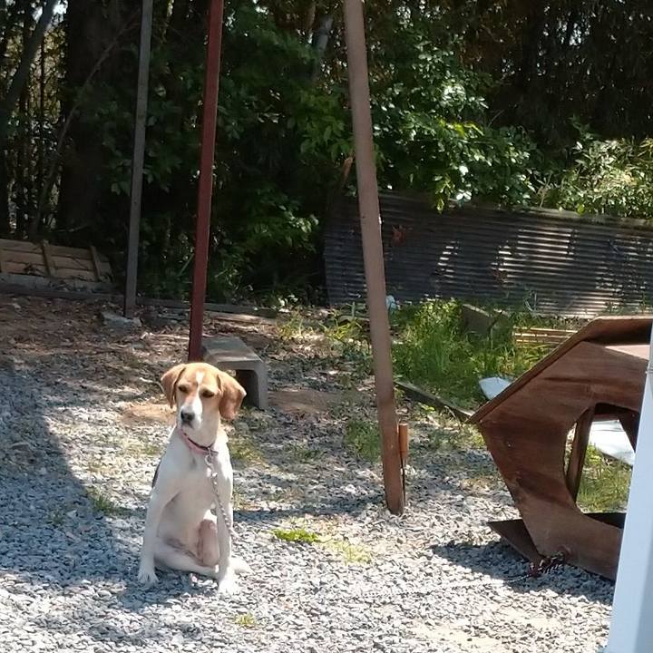 12717d3d f993 4258 a275 68f348e354b1 1588149395046