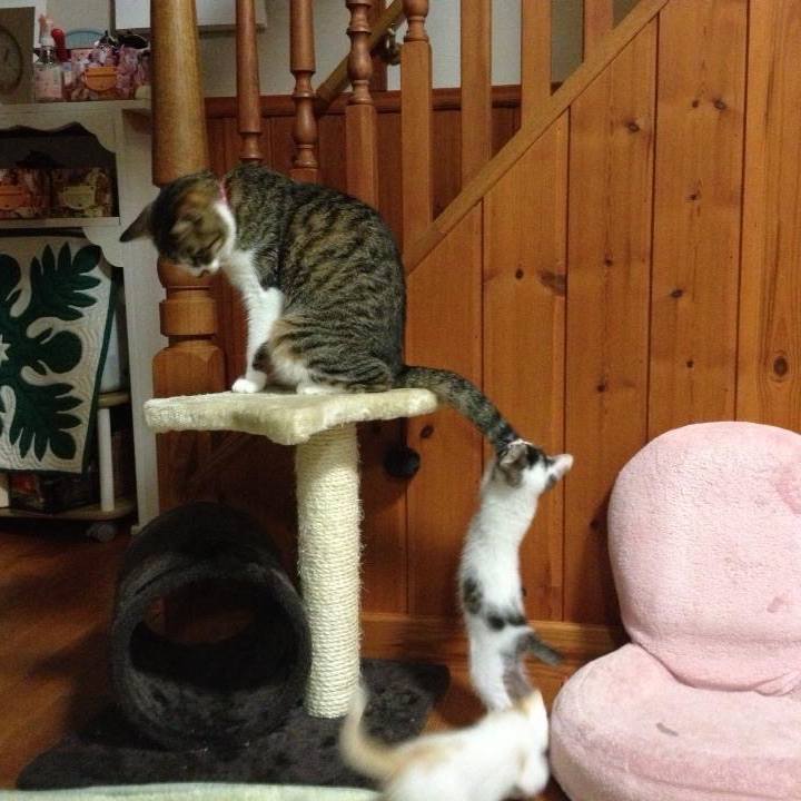 12719544 f1e3 48eb 9a1e 3fd6a4a36f49 1560656474993