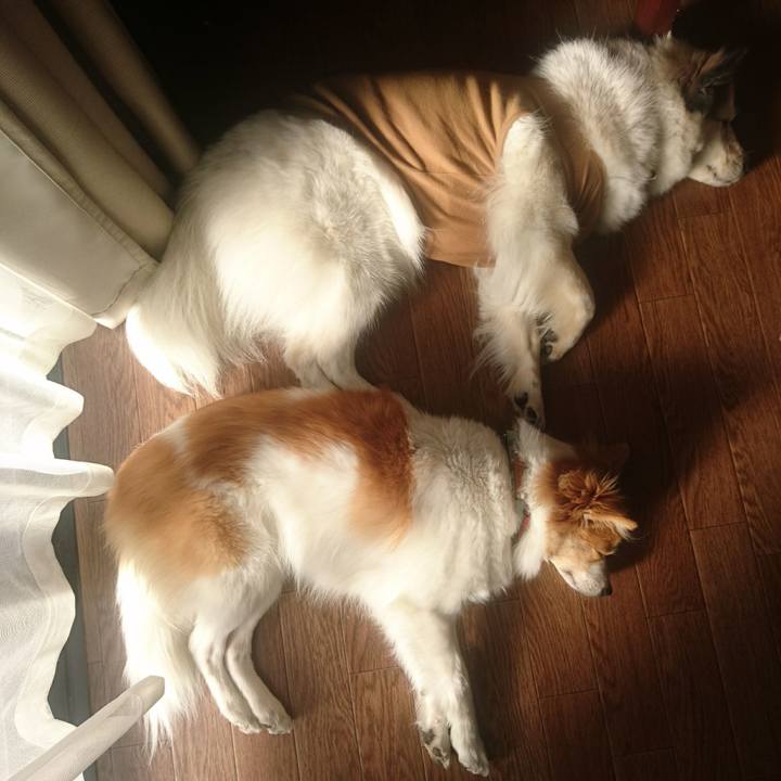 12719d0a daa0 4e06 90b4 4341956bc02b 1550494516524