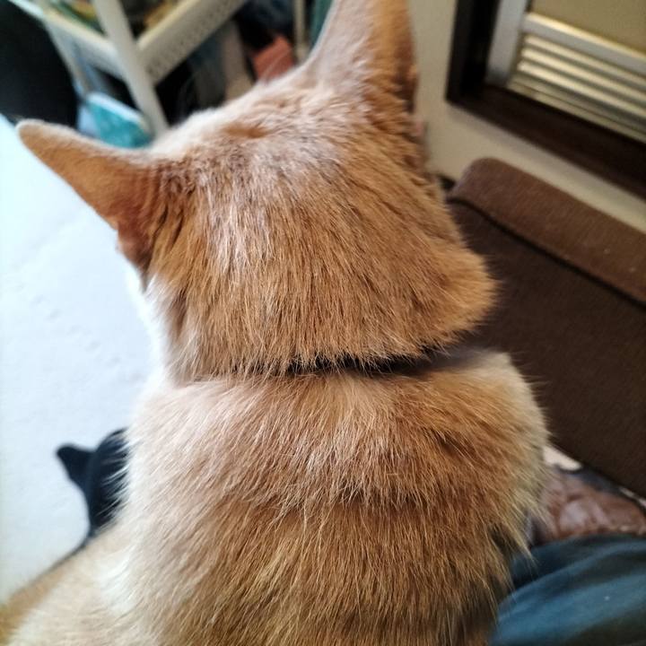 1271ad4e 9716 4ed6 994b c2e92f5a78a9 1645919011796