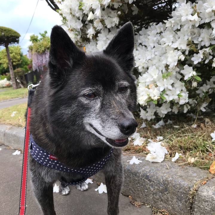 1271e096 be35 4694 9a32 511eb37401a9 1560691411671