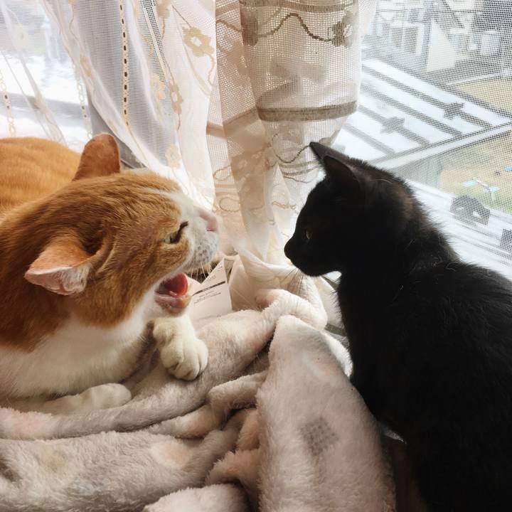 12721e5a 4998 48bc bf27 f883a4df001e 1626058235817