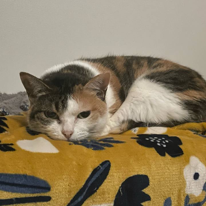 127266a7 d1a3 44ba b825 70b46773550c 1708881188021