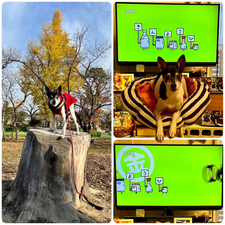 1272c5c2 0e2a 478b 8ed2 891eb9e6658a 1671142783735