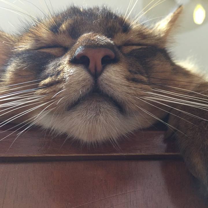 1272c867 1443 45ed 94e4 e03afd0e4217 1599528382645