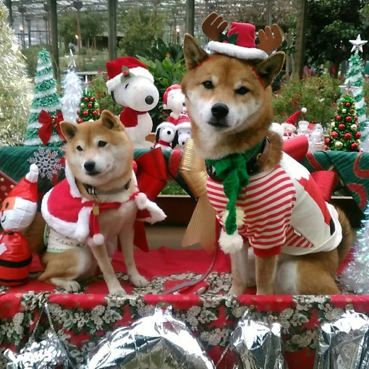 1272ef15 605e 4ac4 922f 50f9d7e6fe10 1577003925033