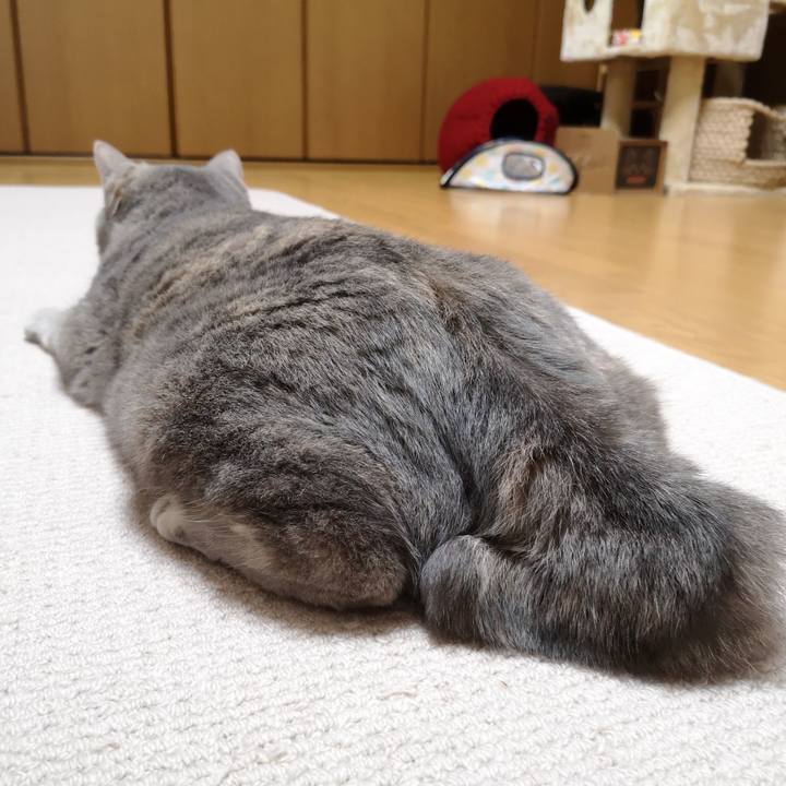 1272f385 8c58 4b7a 970c aca1179e20a6 1565446062403