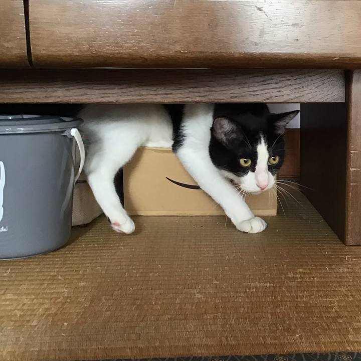 12731af0 aa59 408d 94e9 f7d3bf4f58d9 1695287286701