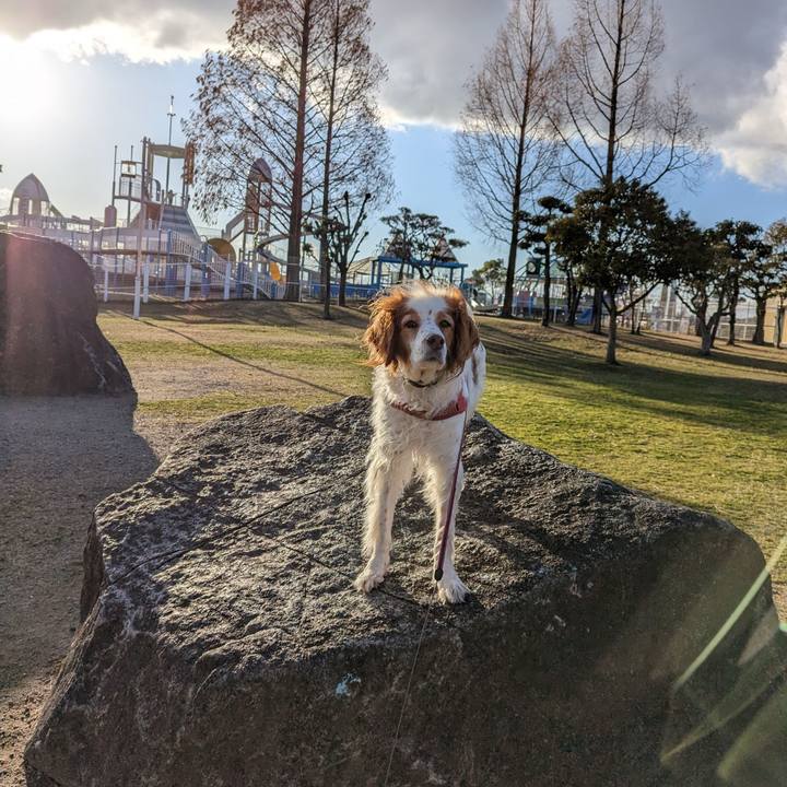 12731ea5 cfab 4963 b51a fb1896961d19 1677755943756