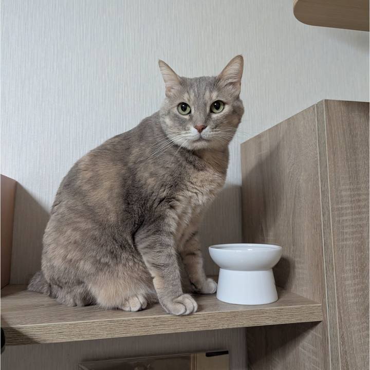 12733dab 4759 4cb1 9a54 b217de94dbac 1741343688882