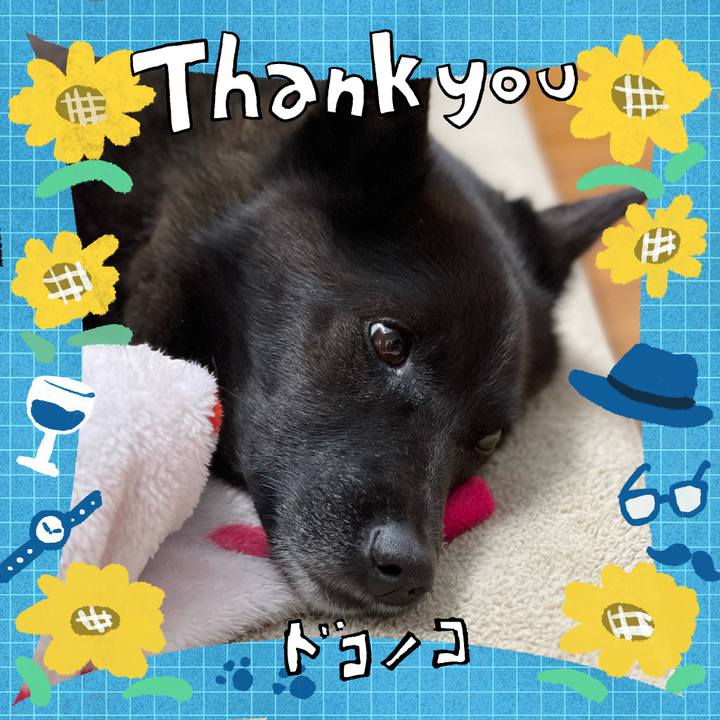 12737839 a3a5 4dfb a3b2 e031d2e5d4d5 1718428697673