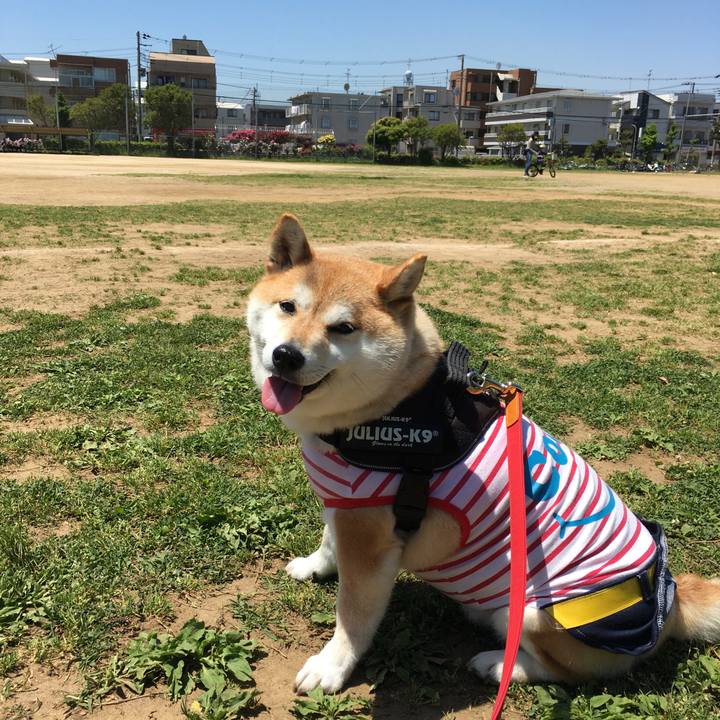 12737a4c 87a5 4afe 86cd 8bc13fd238f7 1589435206891