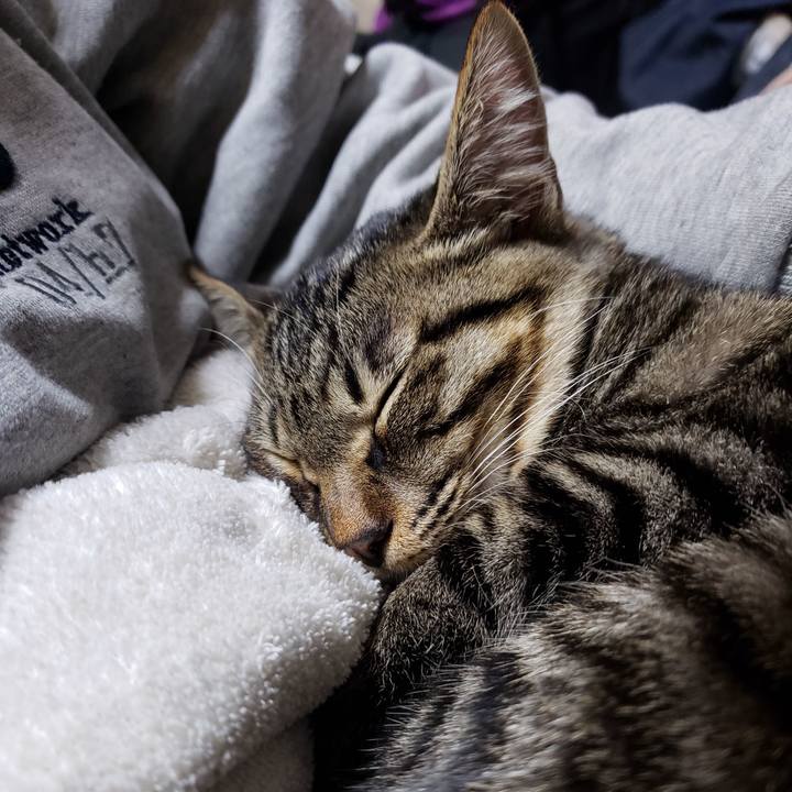 12738053 f197 40e4 bfd9 62a3734399bd 1543072818446