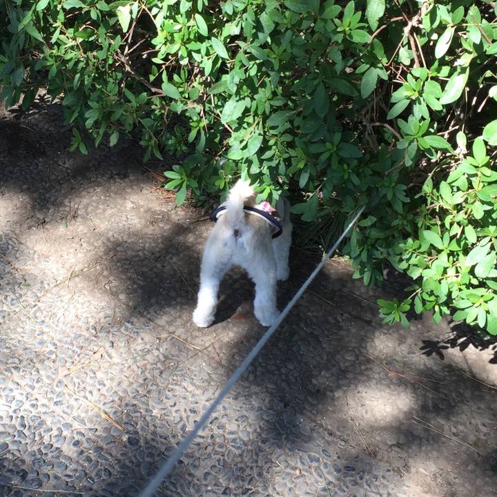 127389dd d2e1 4d2e 870f ec967e4d4954 1538897274429