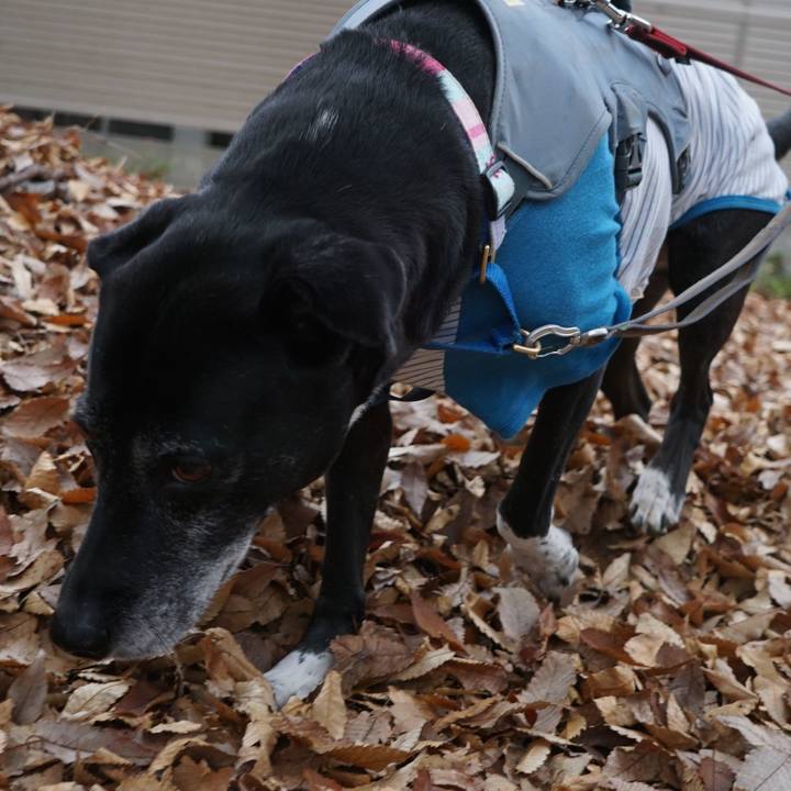 1273da6a 30fe 4896 901f a6e6e7e7877f 1764638383536