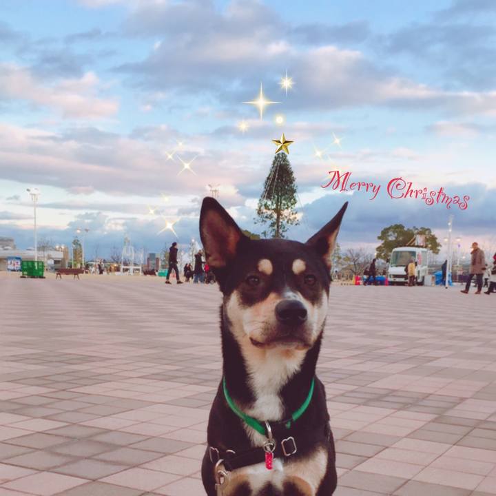 127460a6 8857 41dc 8687 051ea84cbfdb 1541470759563