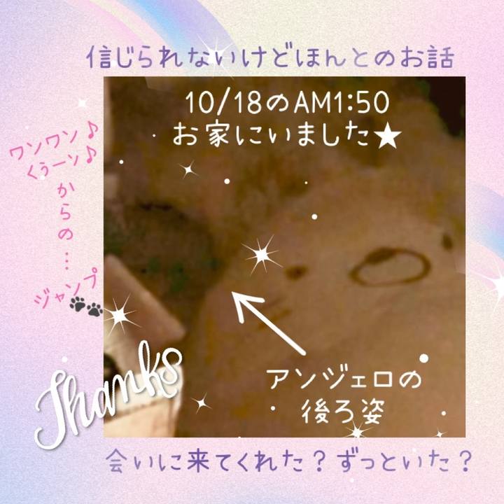 1274a654 9298 4192 8a3e ee826b8ce957 1671261339600