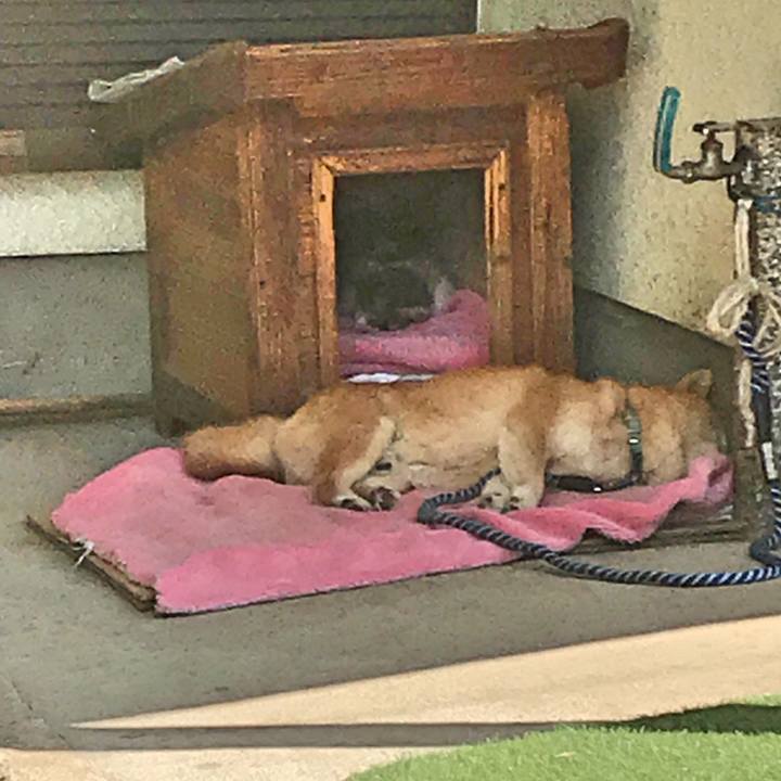 127515f1 c61f 4975 9e8c 1783c6bf2ce8 1527123322303