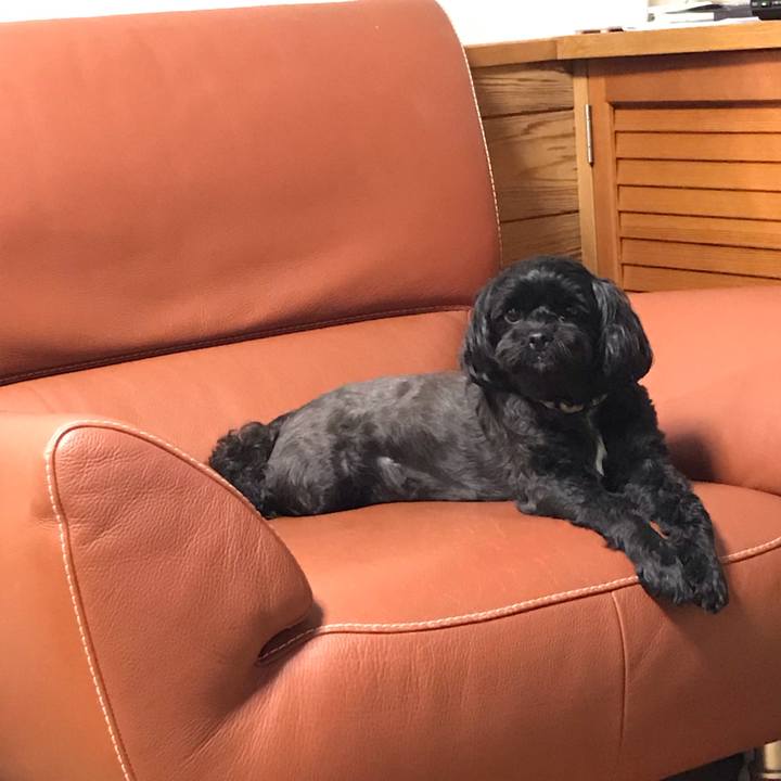 12756b36 20e1 4d7d ae90 7db9ebdaea3e 1566314651438