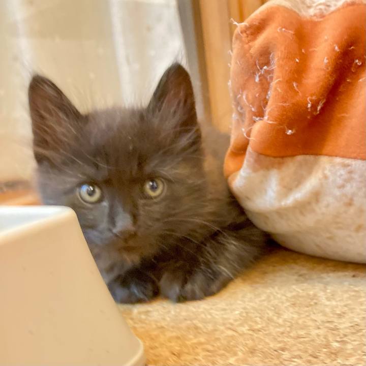 127577c9 6b70 41e6 82ea b26ab1d234c5 1698157201429