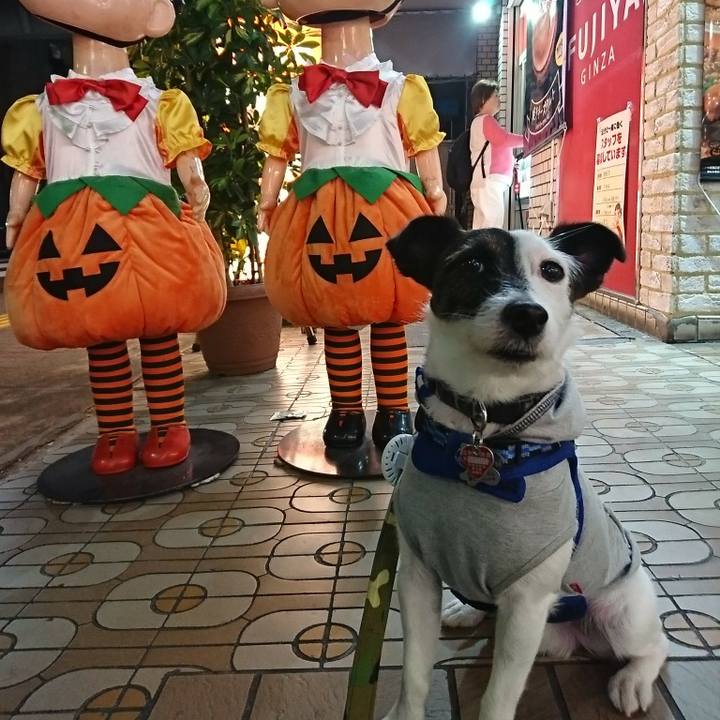 127587e8 b9b0 47b2 abfe 42dbea2f3c71 1507722255283