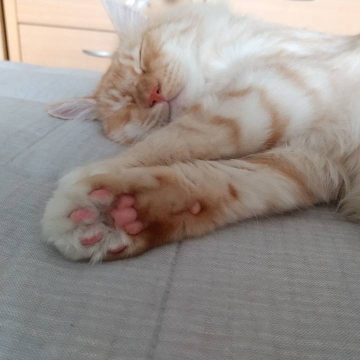 12759547 d126 43be b7f4 bf2b55b57787 1622243659592