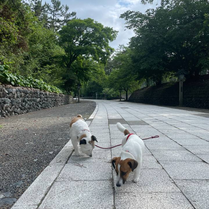 1275befe f91a 419a a920 840b76fb8bb2 1624835959655