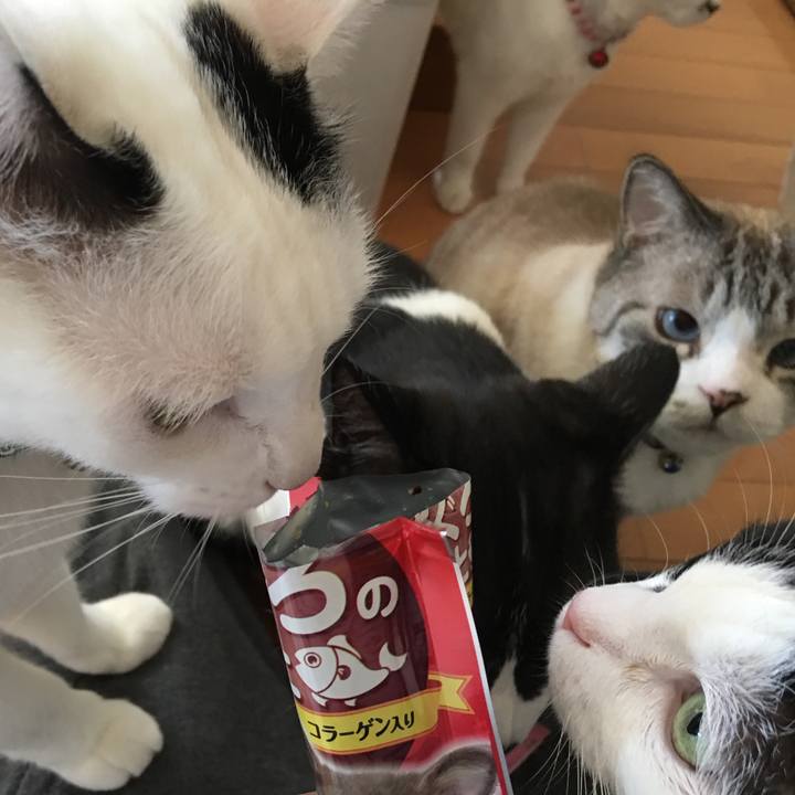 1275c2a8 cd2f 4db7 b7c0 a9f171b0c9a6 1511070488913