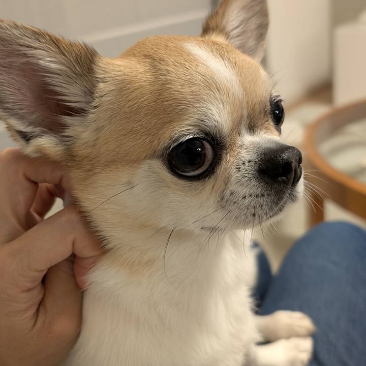 1275f418 0f96 40e7 b207 e2ea2d0bcbfd 1749636389888