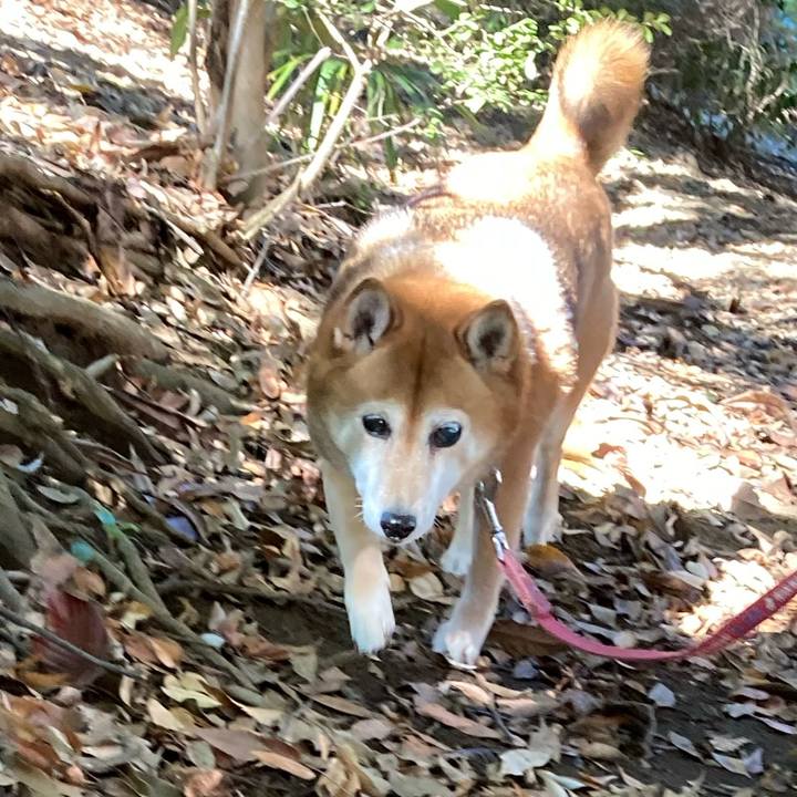 1275f48e 5996 4e1b 9751 5dcfb6d19e4d 1638069410476