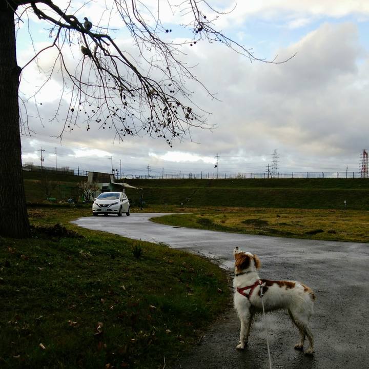 1276023f ba6c 4dbb 9616 34f872f3ac92 1551700010828