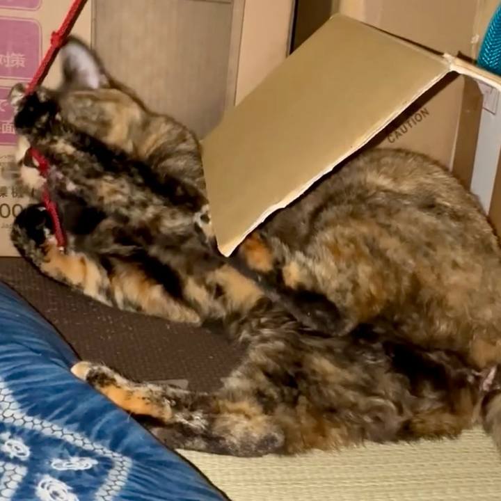 127693ac 15df 486c bd96 0898bd03b1c7 1757363936771